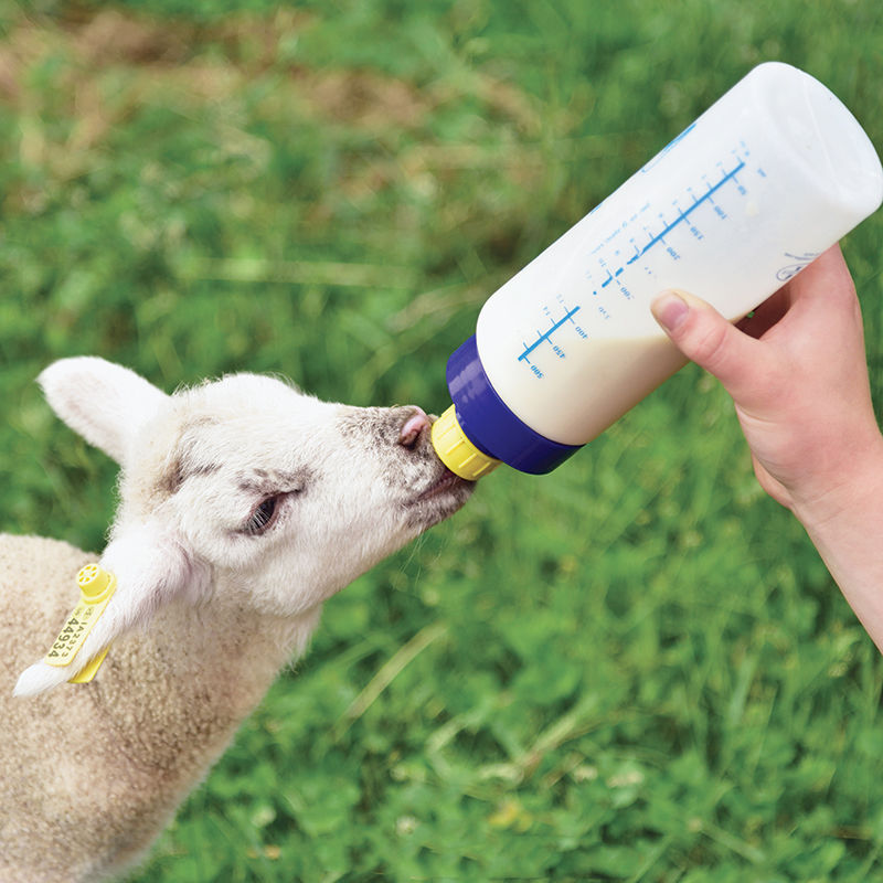 45x Lamb Pet Drink Flasche Nippel Zitze Kid Pup Fohlen Orphan Sheep Feeding 