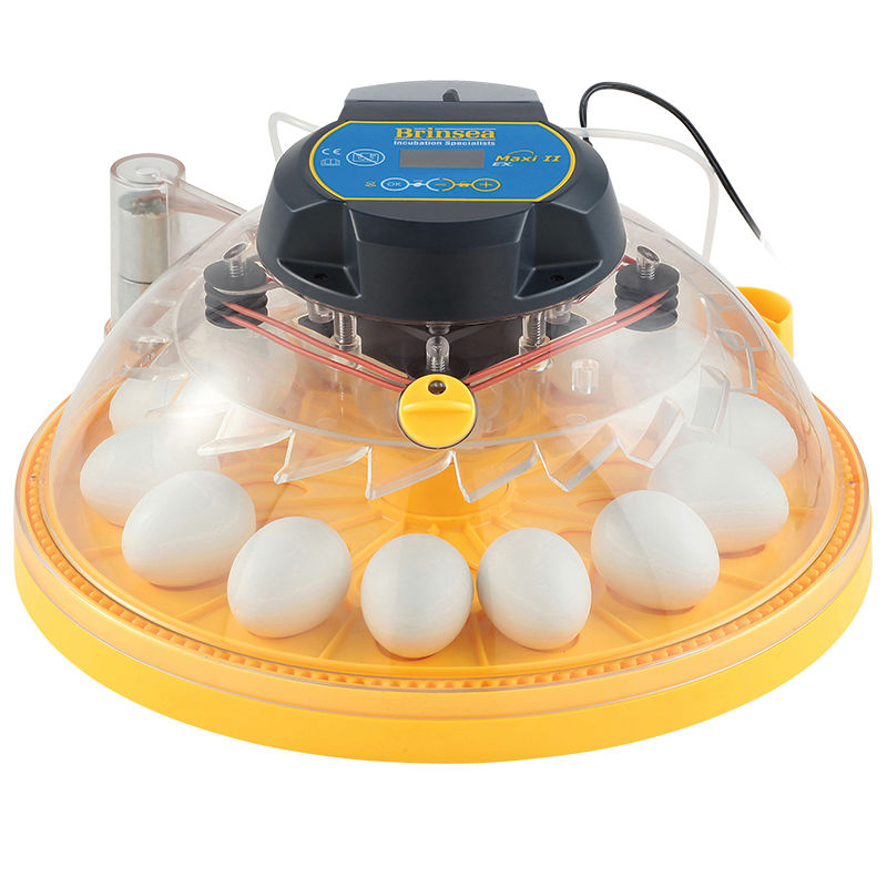 Automatic Duck Eggs Washing Machine with Stainless Steel