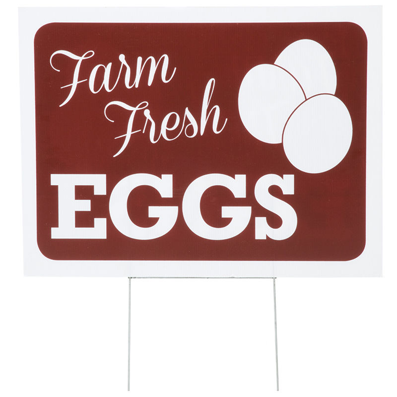 Fresh eggs for sale sign 
