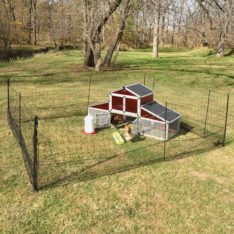 Shock-Or-Not™ Poultry Fence & Kit