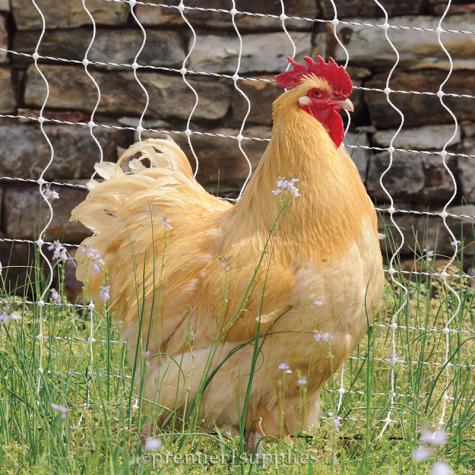PoultryNet® and PoultryNet® Plus 12/42/3 Electric Netting