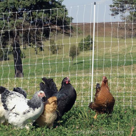 PoultryNet® and PoultryNet® Plus 12/48/3 Electric Netting