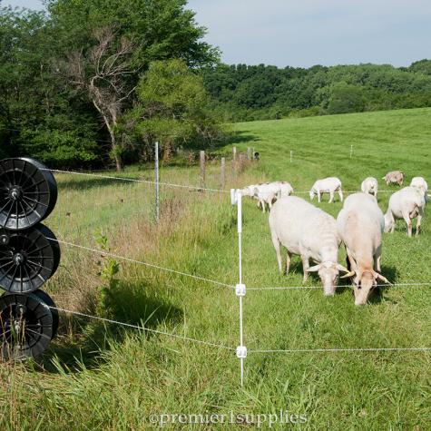Multi-Strand Fences with Reels