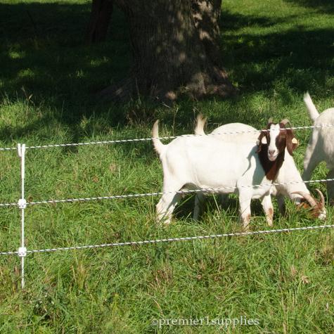 Multi-Strand Fences without Reels