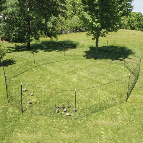 NoShock™ Hen Pen