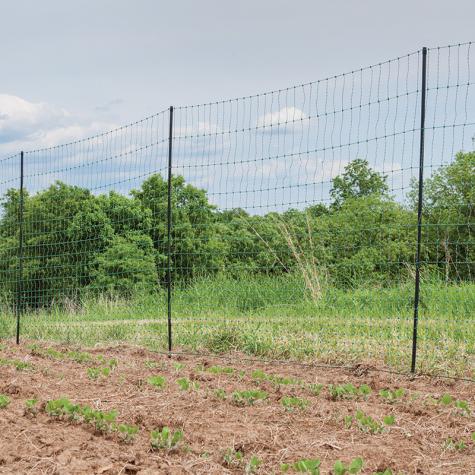 PermaNet® 19/68/3 Electric Netting