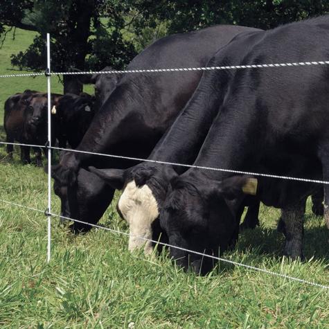 Multi-Rope Fences