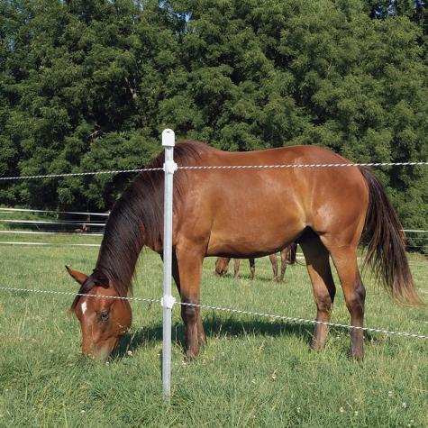 Rope Fences - Up to 5 strands