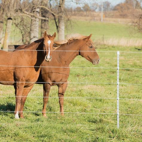 Rope Fences - Up to 5 strands