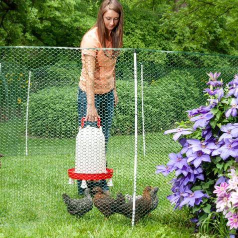 NoShock™ Chick Fence