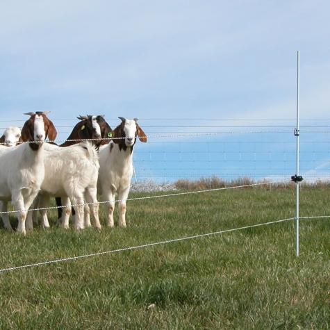 Multi-Strand Fences with Reels