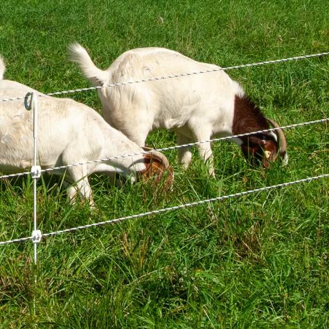 Multi-Strand Fences without Reels