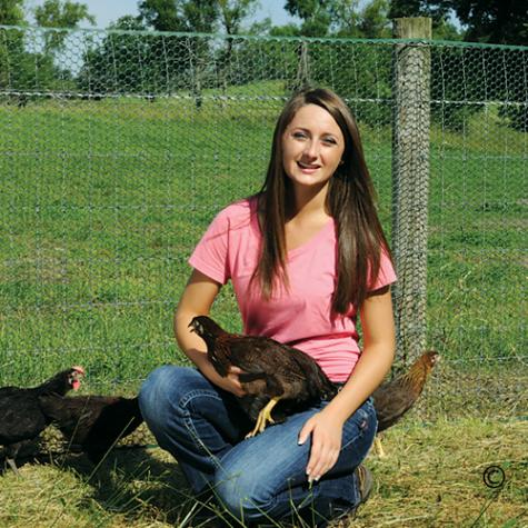 NoShock™ Chick Fence