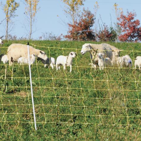 Sheep & Goat Net 9/35/7
