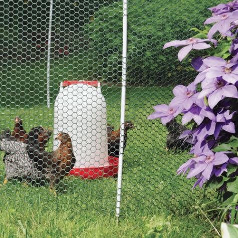 NoShock™ Chick Fence