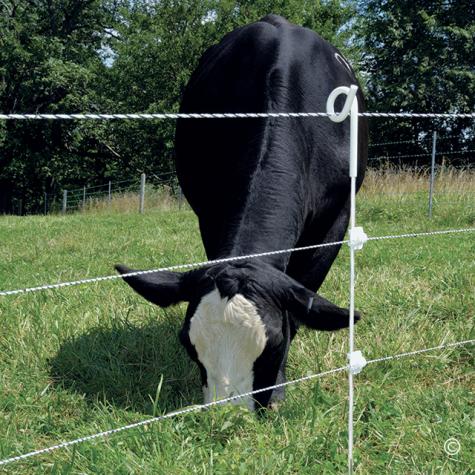 Multi-Rope Fences