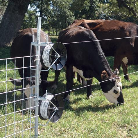 Reel-Based Fences
