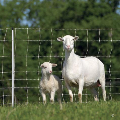 PermaNet® (Standard & Pro) Electric Netting
