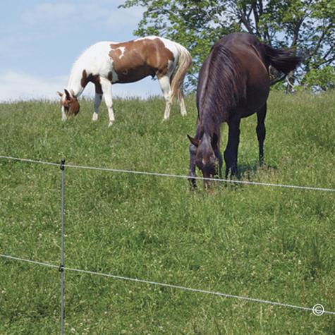 Rope or Tape Fences