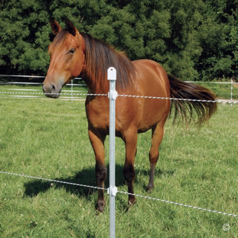 Rope Fences - Up to 5 strands