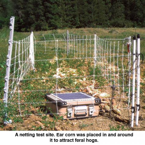 HogNet® 10/24/12 Electric Netting