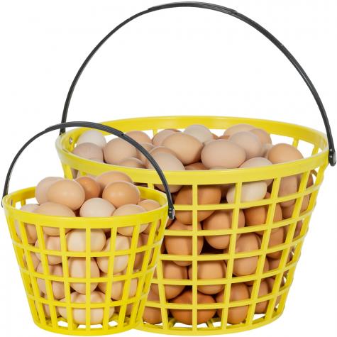 Small holds approx. 2-3 dozen and large holds approx. 12 dozen chicken eggs