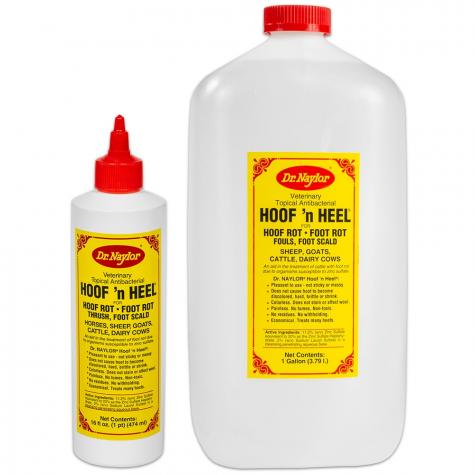 16 oz and 1 gallon