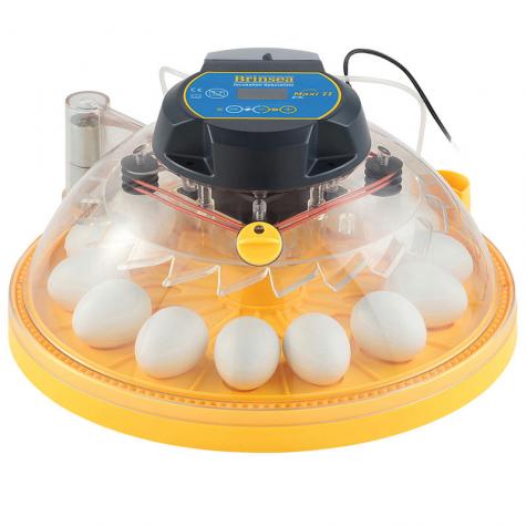 Large egg tray holds up to 14 hen or duck eggs.