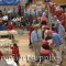 In front of the shearers at the Royal Christchurch show in New Zealand in 2008. Shearing machines and shearers are in a row on the right being studied carefully by judges. Skirting tables are on the left.