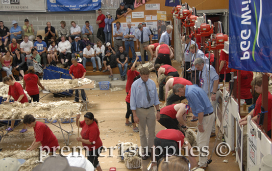 In front of the shearers at the Royal Christchurch show in New Zealand in 2008. Shearing machines and shearers are in a row on the right being studied carefully by judges. Skirting tables are on the left.