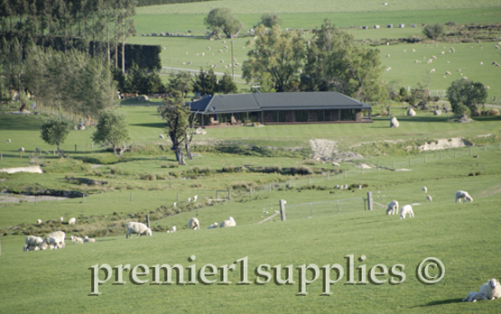 Looking down onto a sheep farmer's house and facilities in the Canterbury Plain of New Zealand. They don't need winter feed so no barns and less need for tractors and machinery. It struck me as being close to sheep farming paradise.