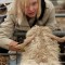 Maren Boyer, daughter of Tom and Carrie Boyer of Utah up close and personal with  a Valais Black Nose sheep.