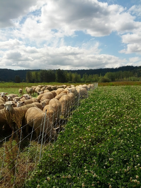 Taken by Katya Rogers, Washington State.  