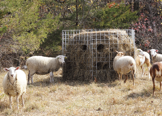 bale feeders premier1supplies homesteading