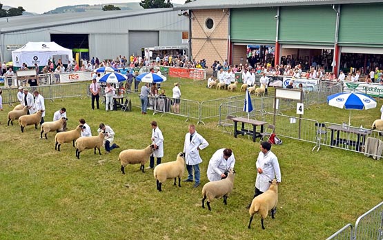 Royal Welsh Show. Photo taken by A. Richard  Cobb.