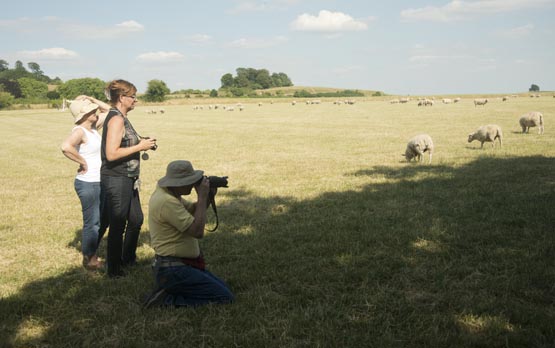 The Little Wittenham farm caters specifically to both the agro-tourist and lamb aficionado. 