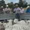 Tim White shares details on his superb Elxana ewe flock. 