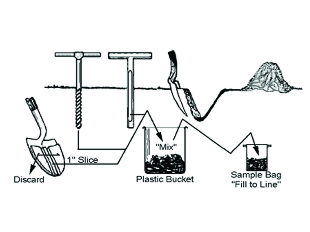 soil sample