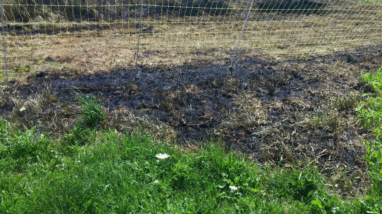 Fire! Be Careful Where You Buy Fence Energizers