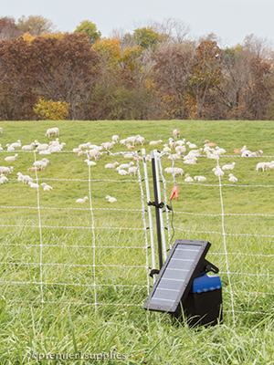 Solar Energizers for Electric Fence - Premier1Supplies